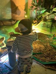 -恐龙探索乐园(磁器口店)