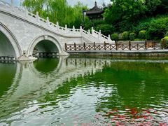 -迎泽公园