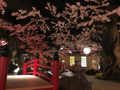 -蓝鲸湾汤泉(包河店)