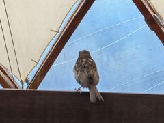 -怀托摩萤火虫洞