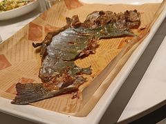 -虹鳟鱼一条街