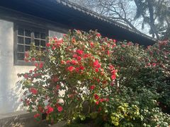 -上海市龙华烈士陵园