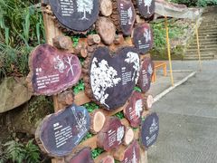 -南山植物园