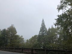 -马克咖啡The Moganshan Lodge