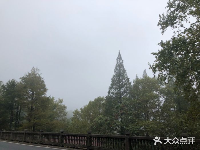 马克咖啡The Moganshan Lodge图片