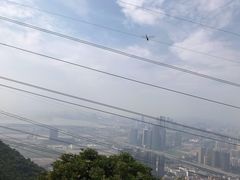 -小南山公园