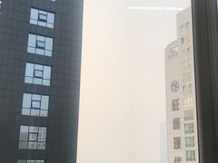 -东哥紫阳蒸盆子(旺座·现代城店)