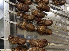-百盛·牟平烧烤·养马岛海鲜(宁海大街店)