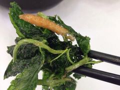 竹里馆-新竹里馆·花园餐厅(兴苑路店)