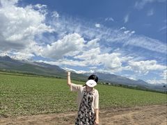 -祁连山草原