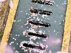 -徐图港(地铁站)