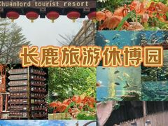 -长鹿旅游休博园