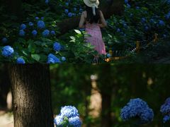 -达蓬山旅游度假区