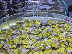 -聚盛源蒸汽海鲜火锅烤肉自助(巨川金海岸购物广场店)