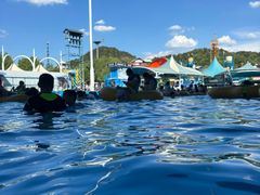 -杭州浪浪浪水公园