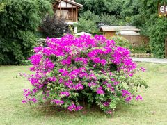 -贵阳市花溪国家城市湿地公园