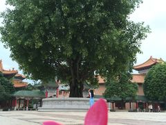 -广东圆玄道观