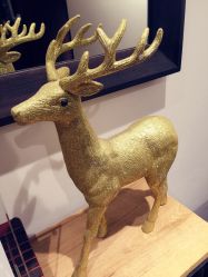 店内环境-印·Style造型创始店