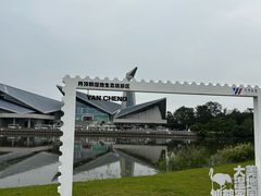 -盐城丹顶鹤湿地生态旅游区