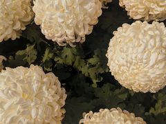 -稻香居锅贴(宋都御街店)