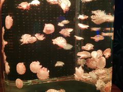 -多彩贵州城极地海洋世界