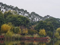 -琴亭湖公园
