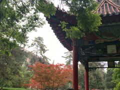 -陕西师范大学(雁塔校区)