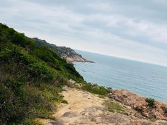 -广东惠东海龟国家级自然保护区