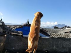 -浔岚云舍mist静谧观景美宿(丽江古城店)