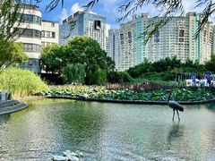 -苏州河梦清园环保主题公园