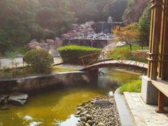 -思念果岭悦温泉