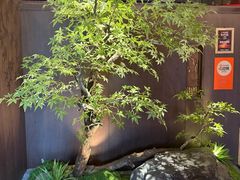 -解家河南菜(商鼎路店)