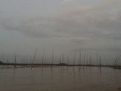 -北岐滩涂