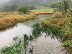 -大九湖
