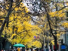 -四川大学(华西校区)