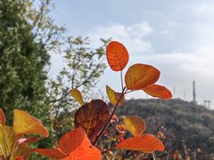 -北京西山国家森林公园