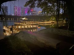 -南宁南湖公园
