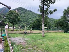 -趣多多宠物公园·宠物训犬学校·宠物寄养