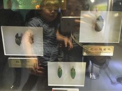 上海昆虫博物馆-上海昆虫博物馆