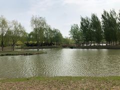 -东郊湿地公园