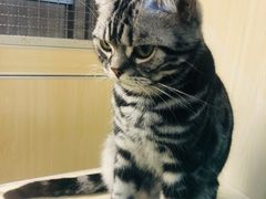 -藦茜花园宠物主题亲子互动体验馆(国顺东路店)
