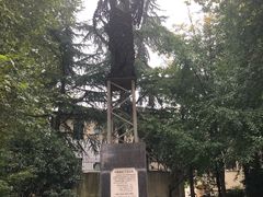 -徐家汇源景区-衡山公园