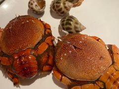-加餐海鲜自助(宝龙一城店)