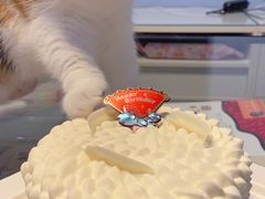 -壹点壹客·生日蛋糕(南山店)