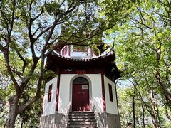 -上海佘山国家森林公园天马山园