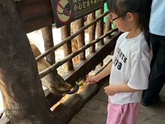 -长鹿旅游休博园
