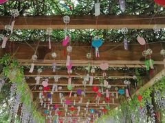 -雪山彩虹谷景区