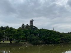 -江心屿景区