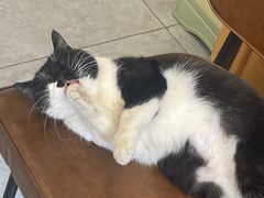 -艾加柒克蛋糕茶歇甜品台(春熙路店)