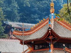 -黔灵山公园